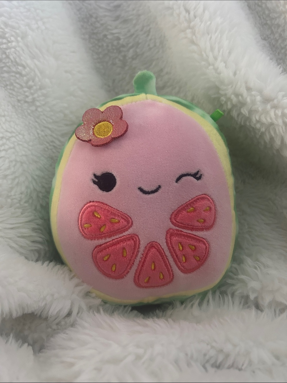 Watermelon Squishmello